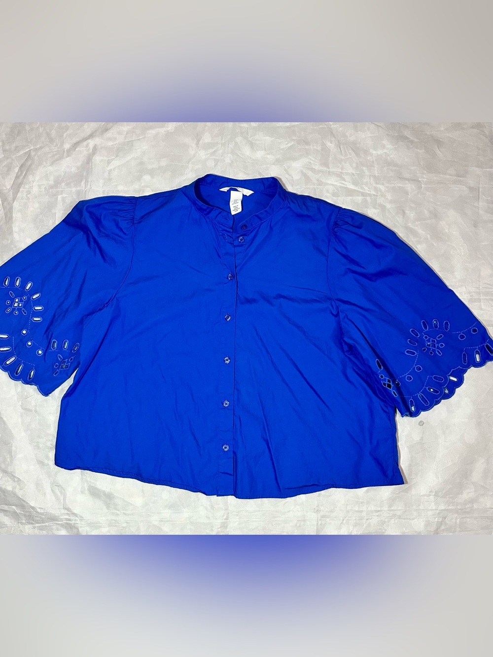 H&M Royal Blue Button-Down Mandarin Collar Top